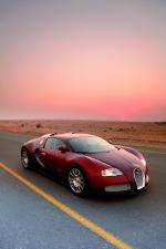 Bugatti Veyron 16.4 Centenaire 2009 года